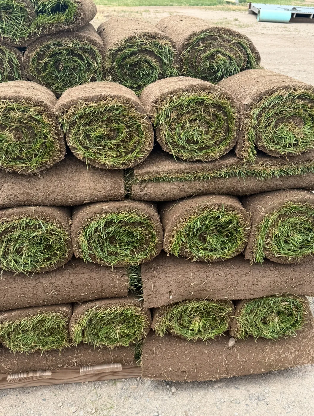 Rolled sod stacked for delivery